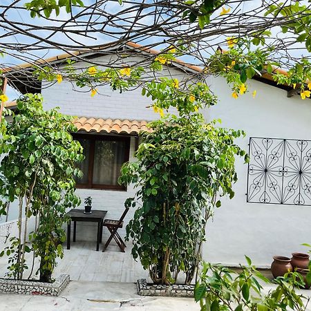 Ferienwohnung Casa Tua Pipa Praia de Pipa Exterior foto