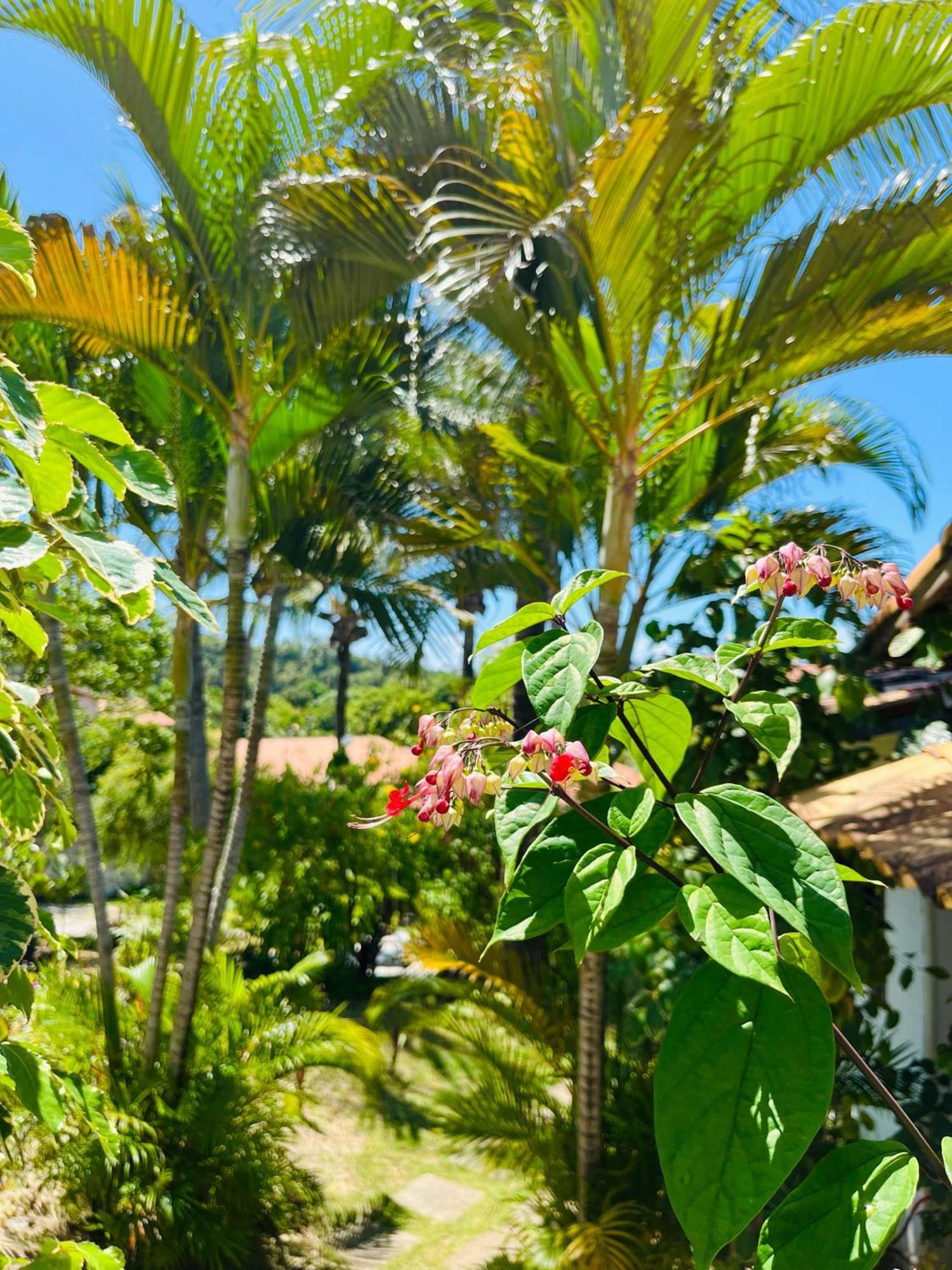 Ferienwohnung Casa Tua Pipa Praia de Pipa Exterior foto