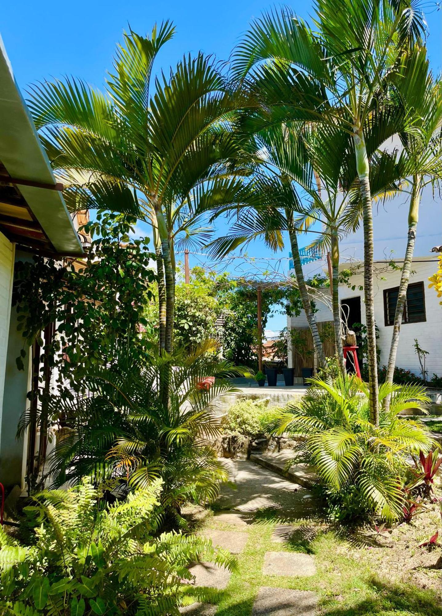 Ferienwohnung Casa Tua Pipa Praia de Pipa Exterior foto
