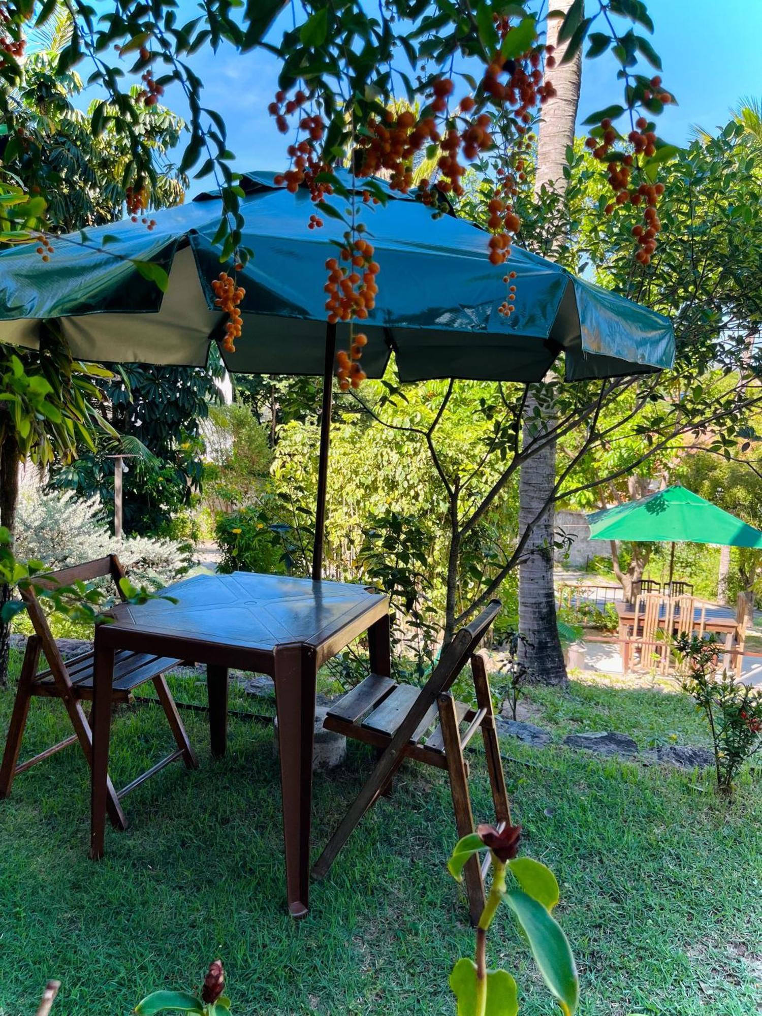 Ferienwohnung Casa Tua Pipa Praia de Pipa Exterior foto